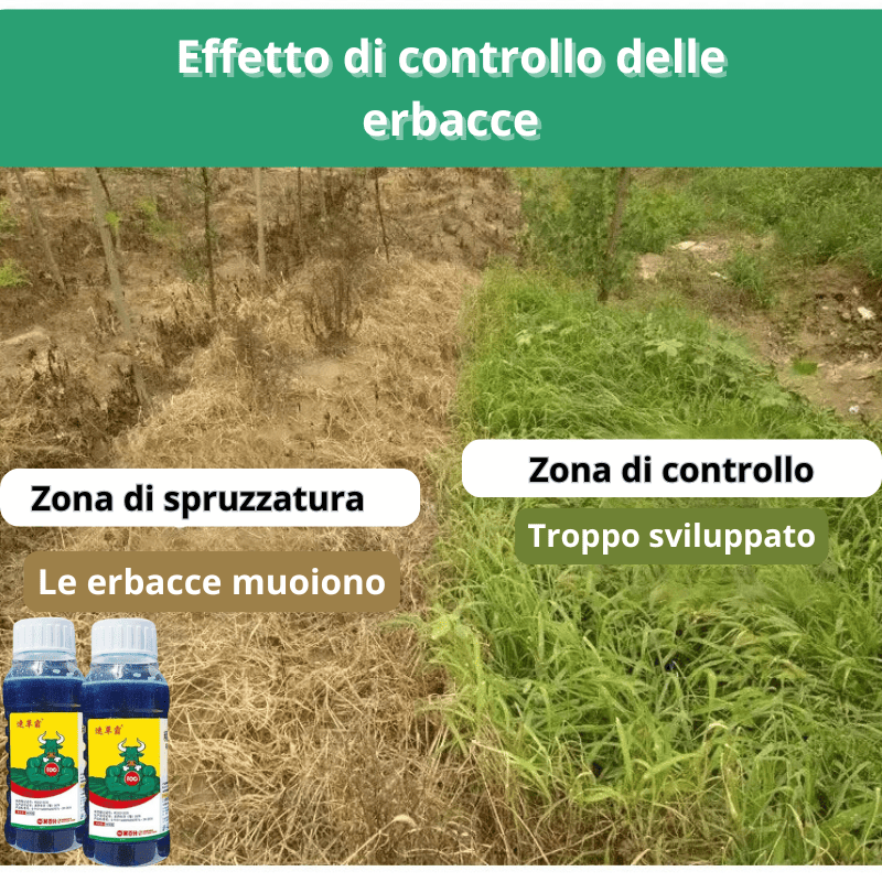 Erbicida Glufosinate ad alta concentrazione