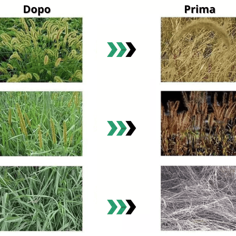 Erbicida Glufosinate ad alta concentrazione